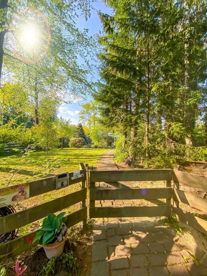Ferienwohnung Im Sachsenwald Dassendorf المظهر الخارجي الصورة